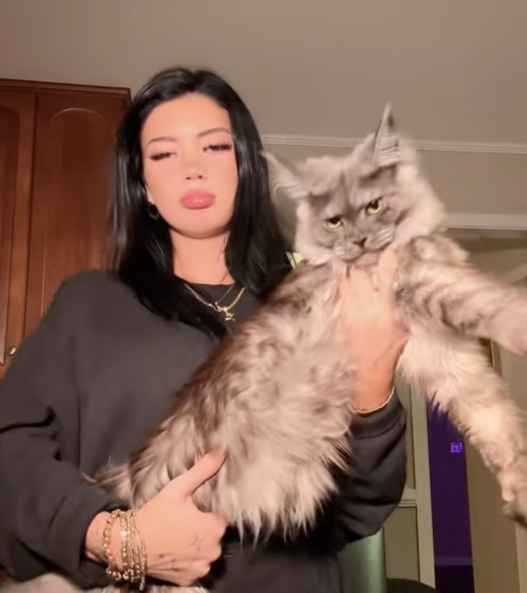 Maine Coon Cat Breeder US